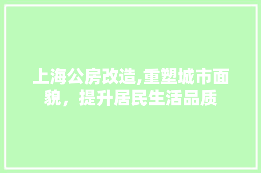 上海公房改造,重塑城市面貌，提升居民生活品质 MI家装修攻略