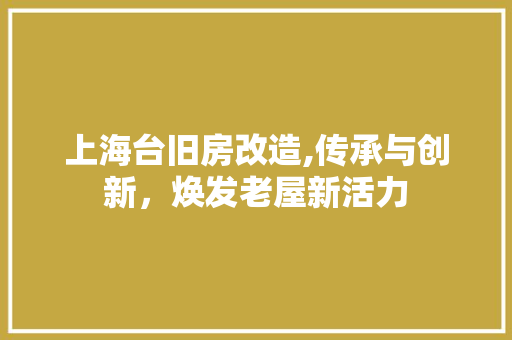 上海台旧房改造,传承与创新，焕发老屋新活力