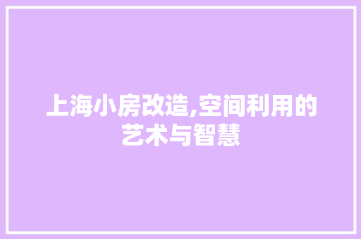 上海小房改造,空间利用的艺术与智慧 MI家装修攻略
