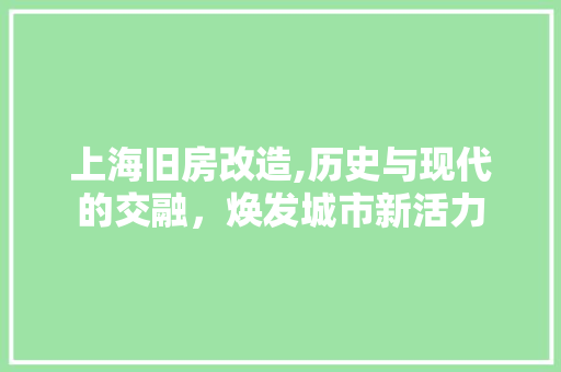 上海旧房改造,历史与现代的交融，焕发城市新活力