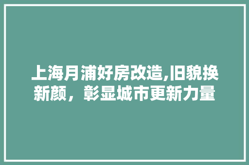 上海月浦好房改造,旧貌换新颜，彰显城市更新力量 MI家装修攻略