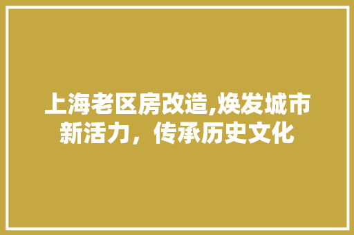 上海老区房改造,焕发城市新活力，传承历史文化