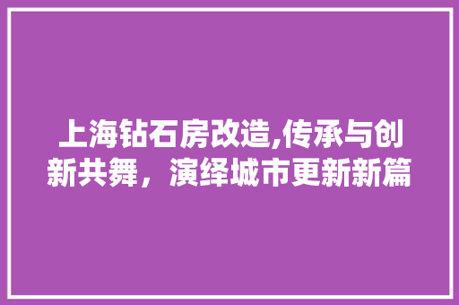 上海钻石房改造,传承与创新共舞，演绎城市更新新篇章