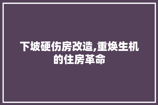 下坡硬伤房改造,重焕生机的住房革命