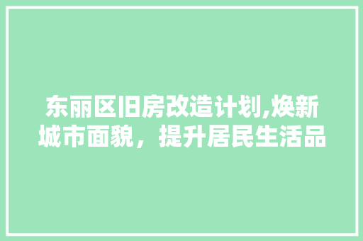 东丽区旧房改造计划,焕新城市面貌，提升居民生活品质