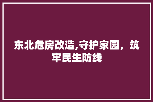 东北危房改造,守护家园，筑牢民生防线