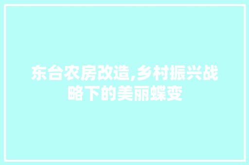 东台农房改造,乡村振兴战略下的美丽蝶变