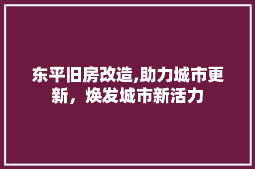 东平旧房改造,助力城市更新，焕发城市新活力