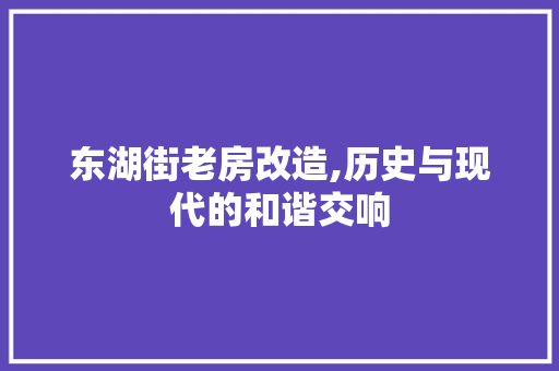 东湖街老房改造,历史与现代的和谐交响