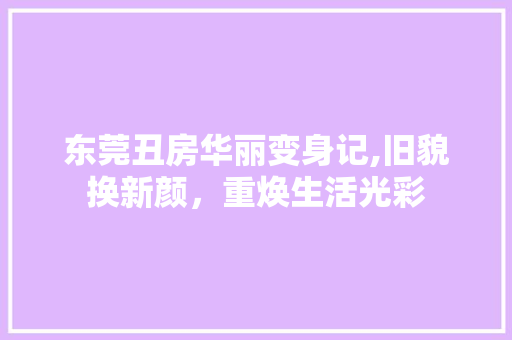 东莞丑房华丽变身记,旧貌换新颜，重焕生活光彩 MI家装修攻略