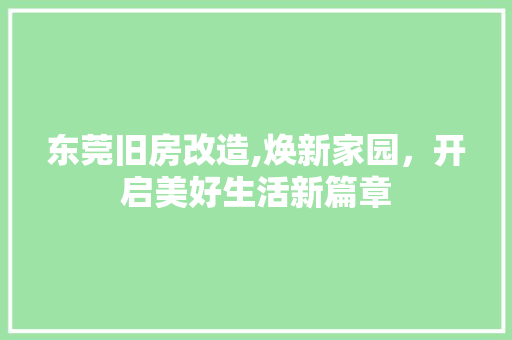 东莞旧房改造,焕新家园，开启美好生活新篇章