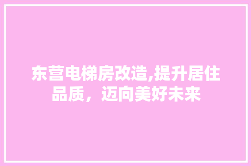 东营电梯房改造,提升居住品质，迈向美好未来
