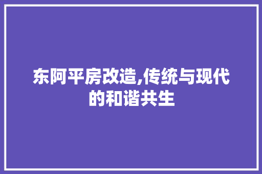 东阿平房改造,传统与现代的和谐共生