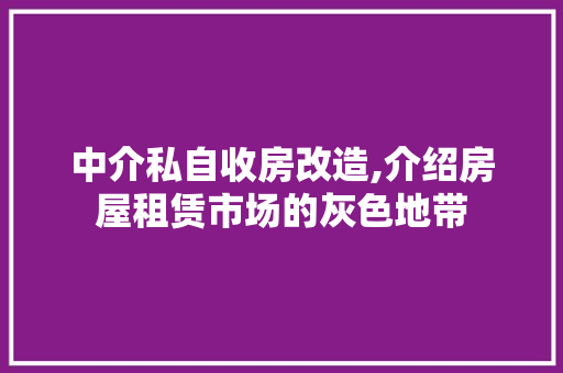 中介私自收房改造,介绍房屋租赁市场的灰色地带