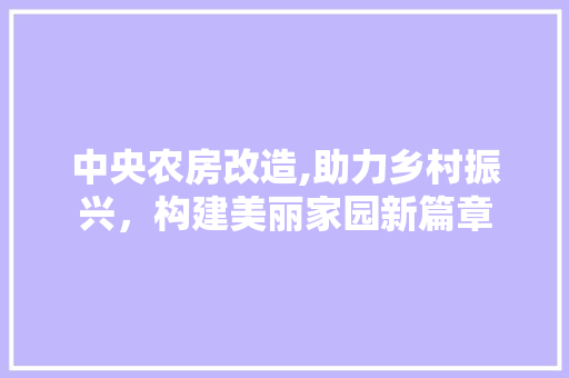 中央农房改造,助力乡村振兴，构建美丽家园新篇章