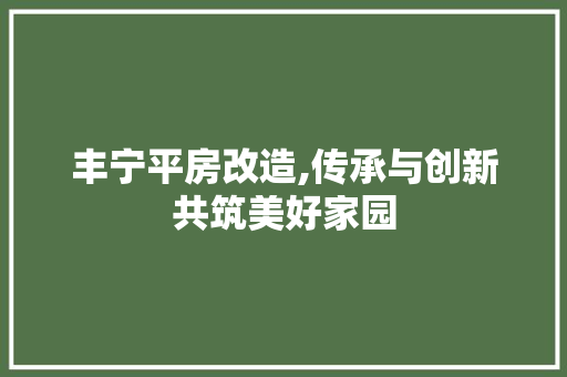 丰宁平房改造,传承与创新共筑美好家园