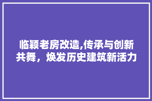 临颖老房改造,传承与创新共舞，焕发历史建筑新活力