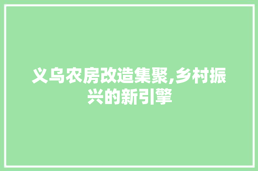 义乌农房改造集聚,乡村振兴的新引擎 MI家设计百科