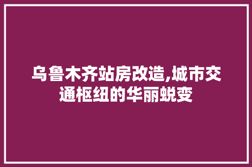 乌鲁木齐站房改造,城市交通枢纽的华丽蜕变