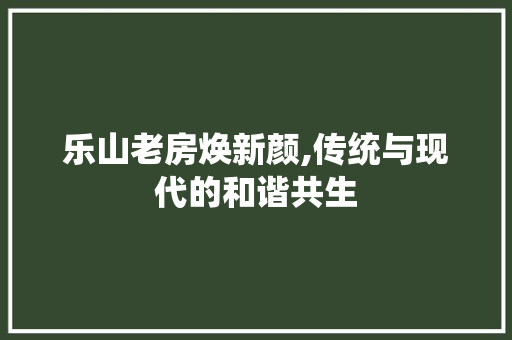乐山老房焕新颜,传统与现代的和谐共生
