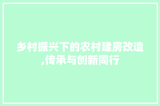 乡村振兴下的农村建房改造,传承与创新同行