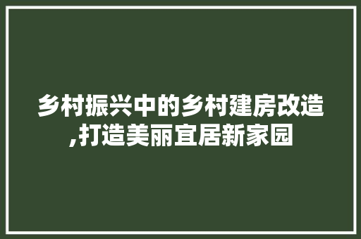 乡村振兴中的乡村建房改造,打造美丽宜居新家园 MI家装修攻略