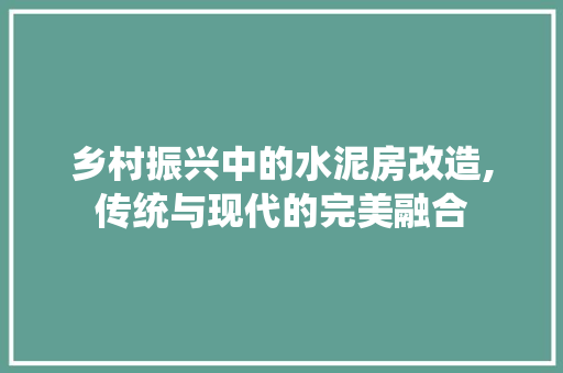 乡村振兴中的水泥房改造,传统与现代的完美融合