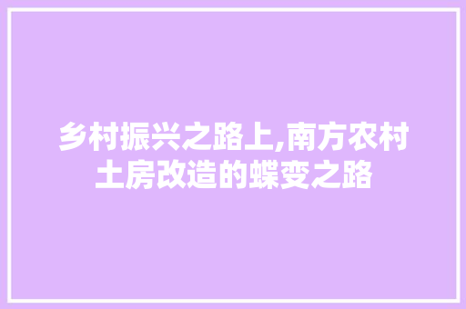 乡村振兴之路上,南方农村土房改造的蝶变之路
