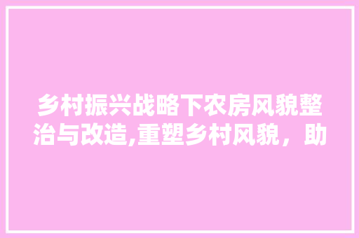 乡村振兴战略下农房风貌整治与改造,重塑乡村风貌，助力美好生活