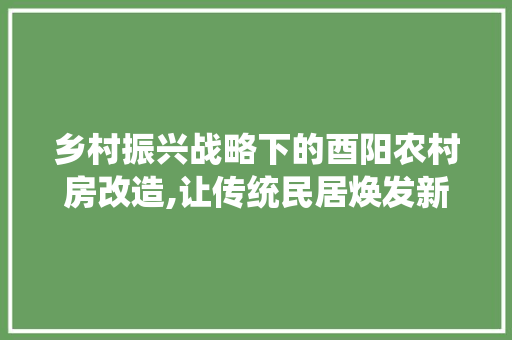 乡村振兴战略下的酉阳农村房改造,让传统民居焕发新活力(酉阳2021年新农村建设规划)