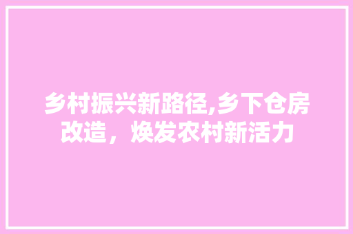 乡村振兴新路径,乡下仓房改造，焕发农村新活力