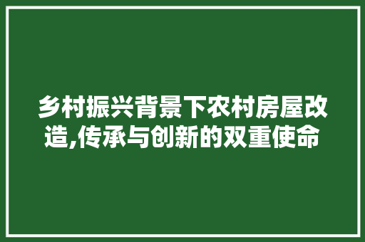 乡村振兴背景下农村房屋改造,传承与创新的双重使命(农房改善 乡村振兴)