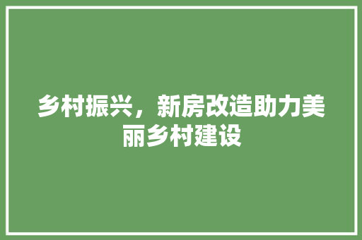 乡村振兴，新房改造助力美丽乡村建设