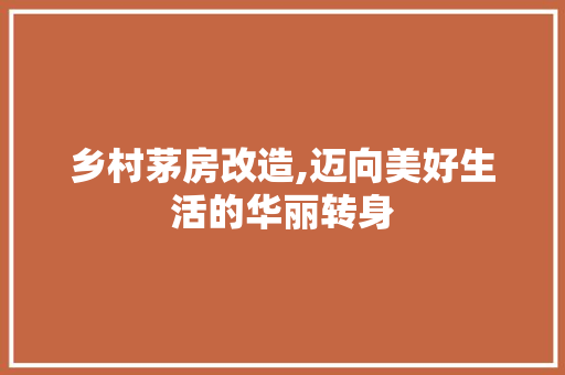 乡村茅房改造,迈向美好生活的华丽转身