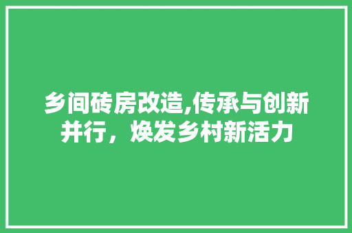 乡间砖房改造,传承与创新并行，焕发乡村新活力