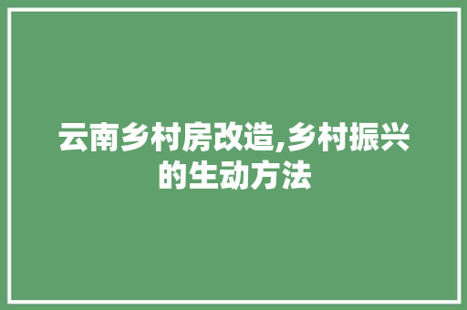 云南乡村房改造,乡村振兴的生动方法(云南乡村房屋)