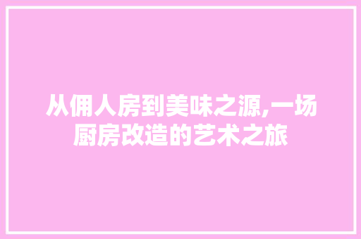 从佣人房到美味之源,一场厨房改造的艺术之旅