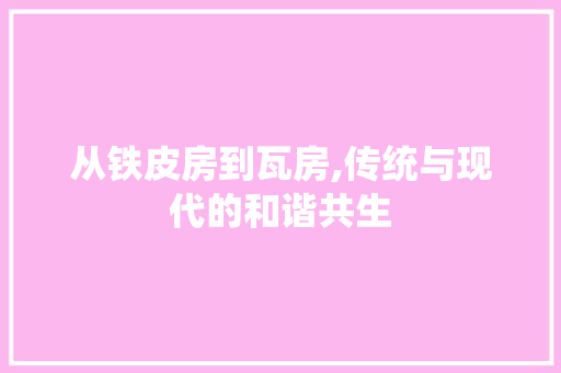 从铁皮房到瓦房,传统与现代的和谐共生