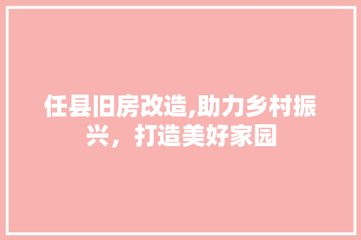 任县旧房改造,助力乡村振兴，打造美好家园(乡村旧房改造成功案例)