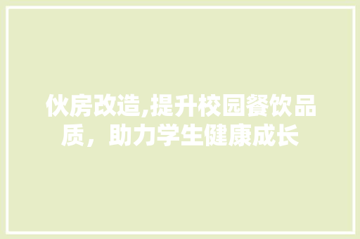 伙房改造,提升校园餐饮品质，助力学生健康成长