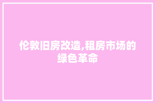伦敦旧房改造,租房市场的绿色革命