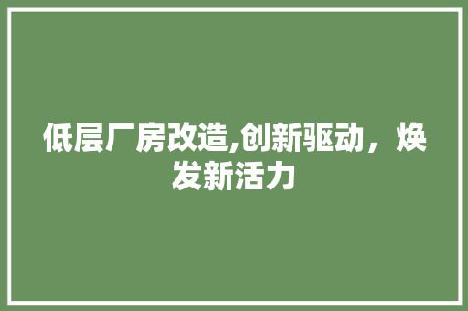 低层厂房改造,创新驱动，焕发新活力