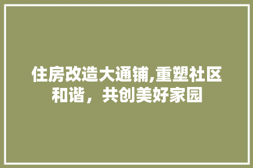 住房改造大通铺,重塑社区和谐，共创美好家园(大通铺怎么装修)