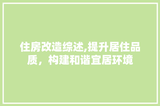 住房改造综述,提升居住品质，构建和谐宜居环境