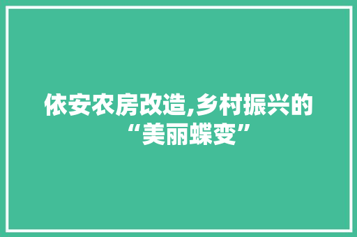 依安农房改造,乡村振兴的“美丽蝶变”