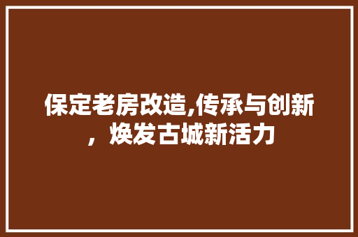 保定老房改造,传承与创新，焕发古城新活力