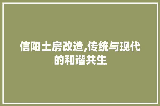 信阳土房改造,传统与现代的和谐共生