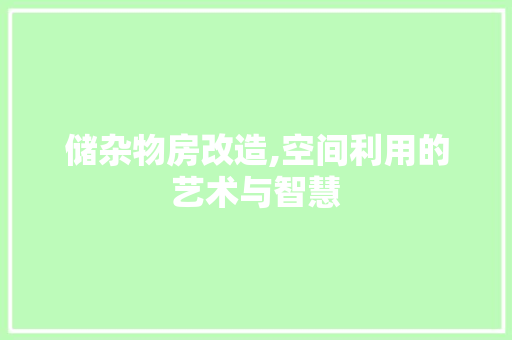 储杂物房改造,空间利用的艺术与智慧
