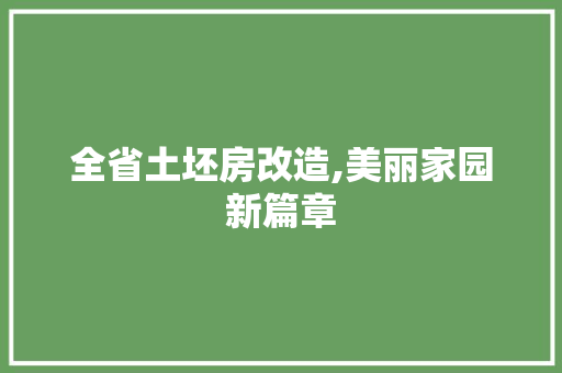 全省土坯房改造,美丽家园新篇章