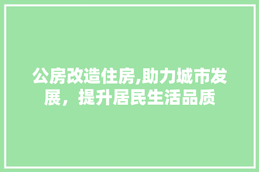 公房改造住房,助力城市发展，提升居民生活品质